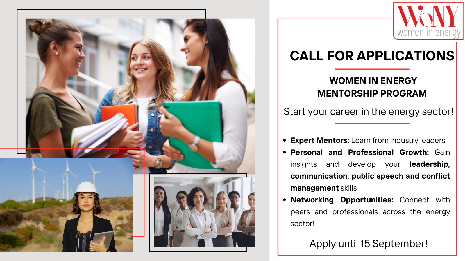 Women in Energy Mentor Program 2024/2025