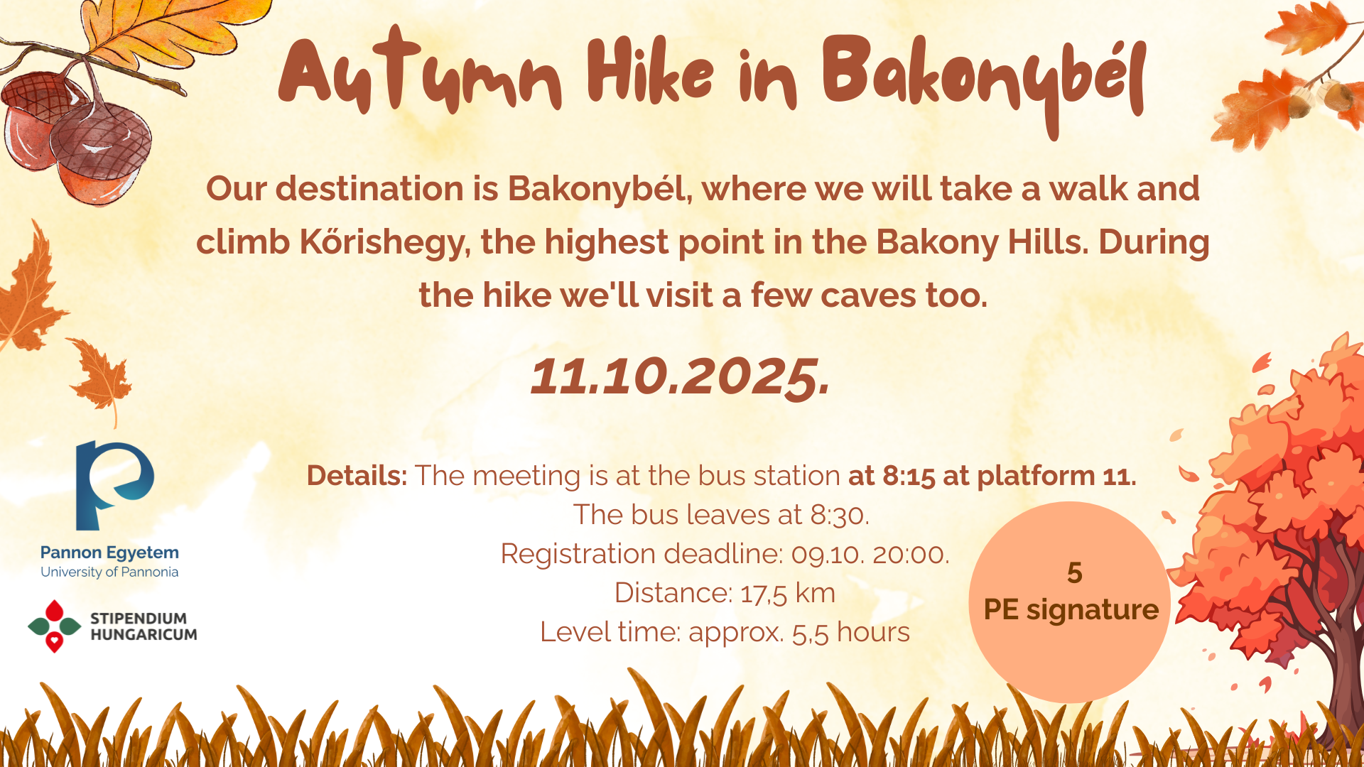 autumn hike in bakonybél