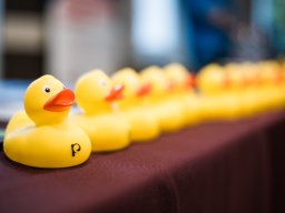 Nyílt Nap Veszprémben 2026 január